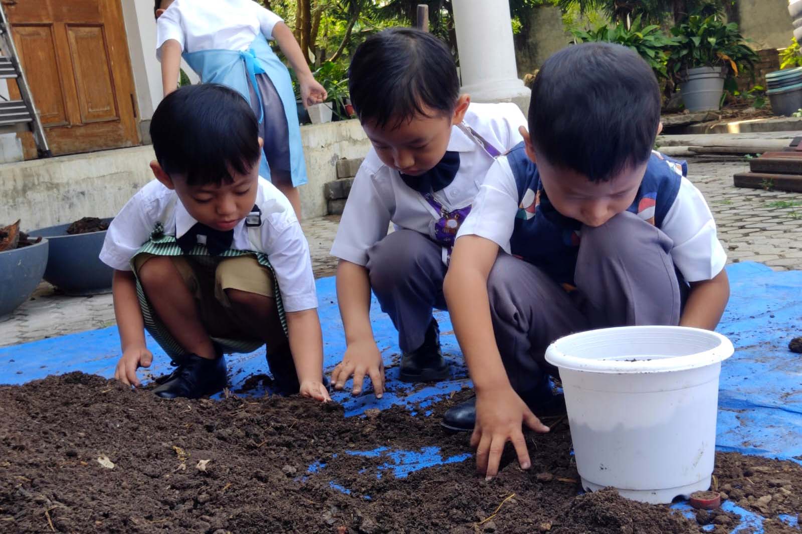 Gardening Day